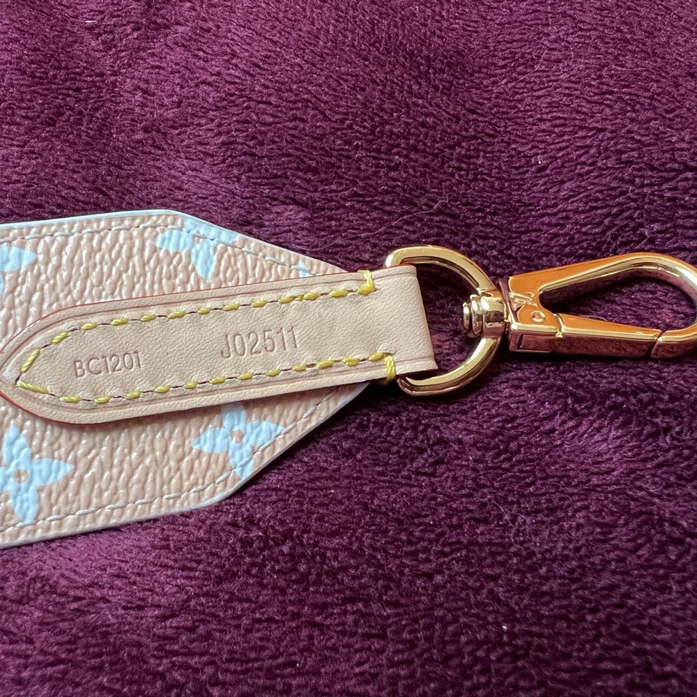 Louis Vuitton By the Pool Brume Mist Bandouliere Strap - Picture 3 of 8